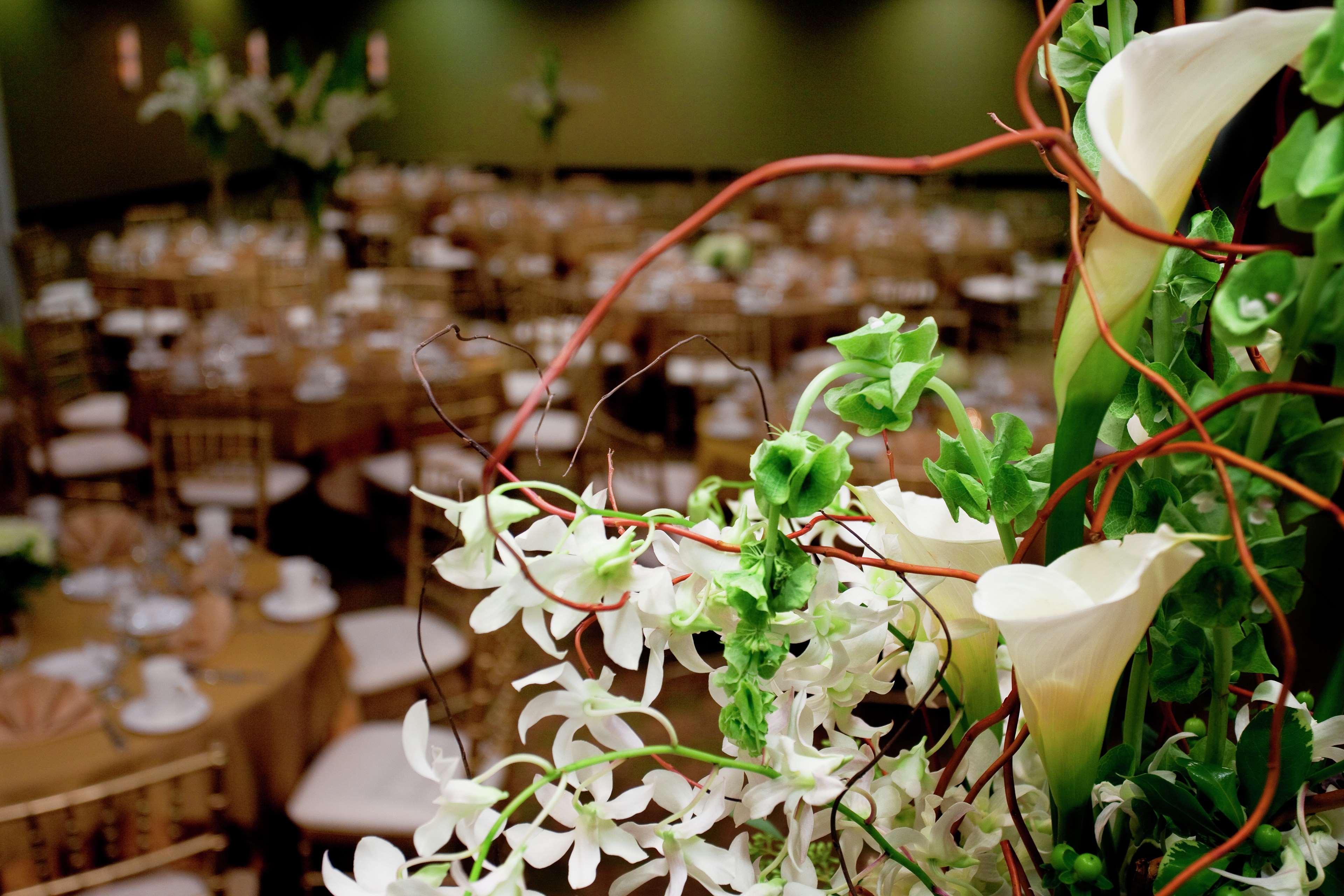 Hilton Garden Inn Seattle/Bothell Dış mekan fotoğraf